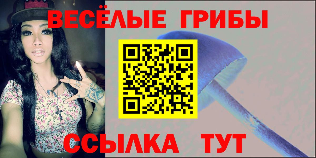 Вольск  Галлюциногенные грибы мицелий  Вход с VPN  Галлюциногенные грибы GOLDEN TEACHER 